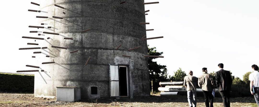 Château qui pousse / proposition d&rsquo;installation // 2010