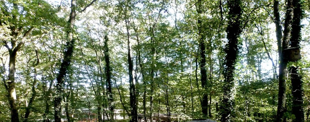 19 01 2016 / Concours Gagné // Maison du Parc Naturel Régionale des Ardennes